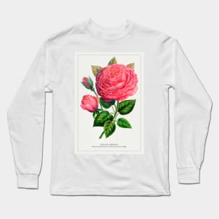 Pink rose, Anna De Diesbach lithograph (1900) Long Sleeve T-Shirt